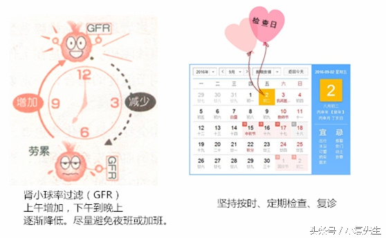 肾病患者适合干什么工作,肾病可以上班吗