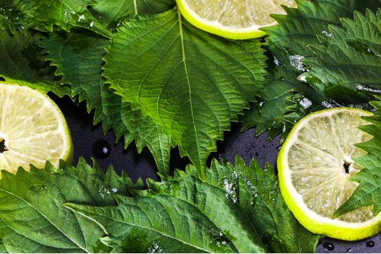 21cake3天月饼,21cake最经典推荐