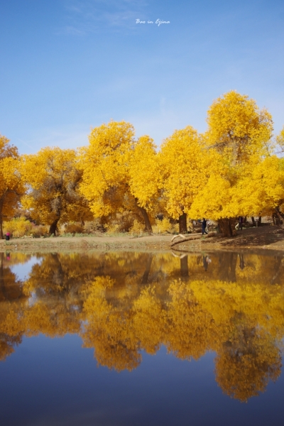 成都自驾额济纳旗攻略,额济纳旗深度游旅行攻略