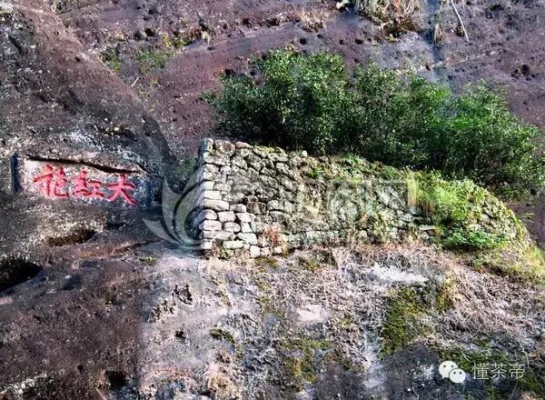 名优茶指的是什么茶,各种茶的代表性名茶是什么