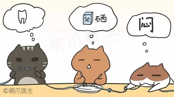 怎么防止猫咬细的电线,怎样从猫上接出网线