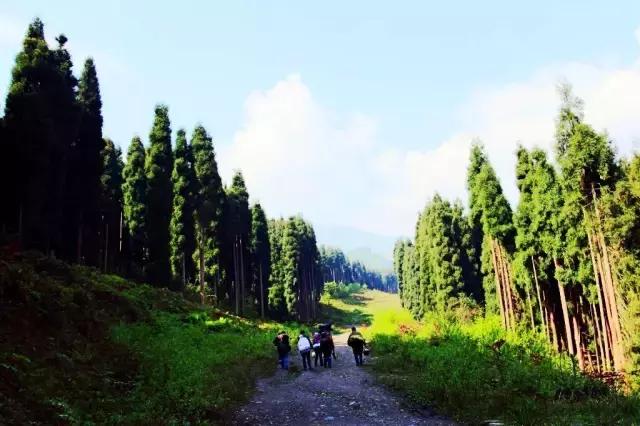 户外徒步成都一日游攻略,一日徒步登山成都