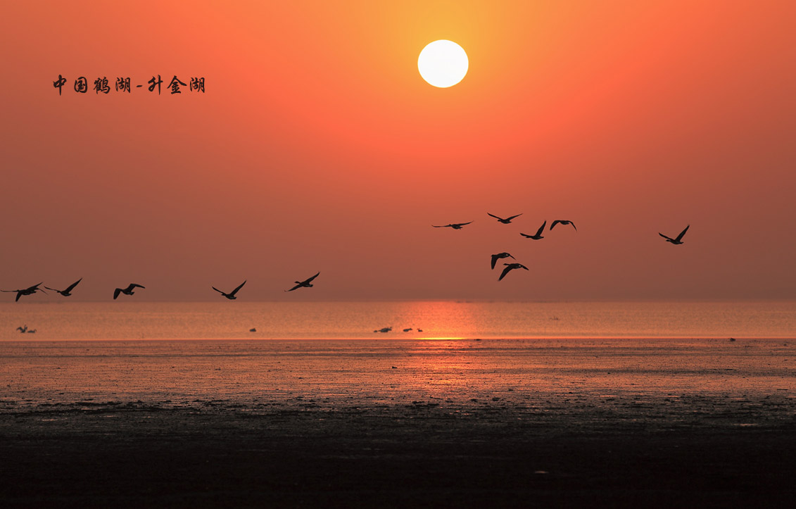 安徽省内有什么湖泊景点,安徽省十大湖泊排名