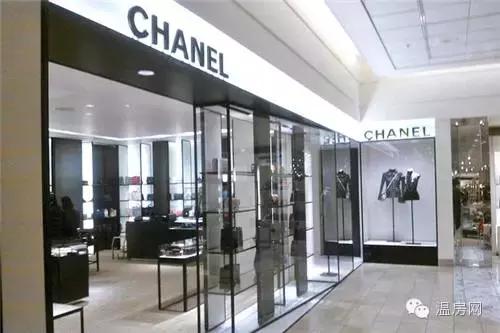 温哥华是什么样子,温哥华是个什么样的国家