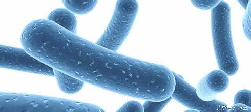 吃了午饭就恶心想干呕打嗝,一吃饭就恶心想吐反胃打嗝胀气