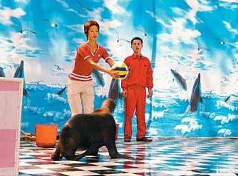 湘潭和平公园动物园星期天开放吗,湘潭市动物园的近况