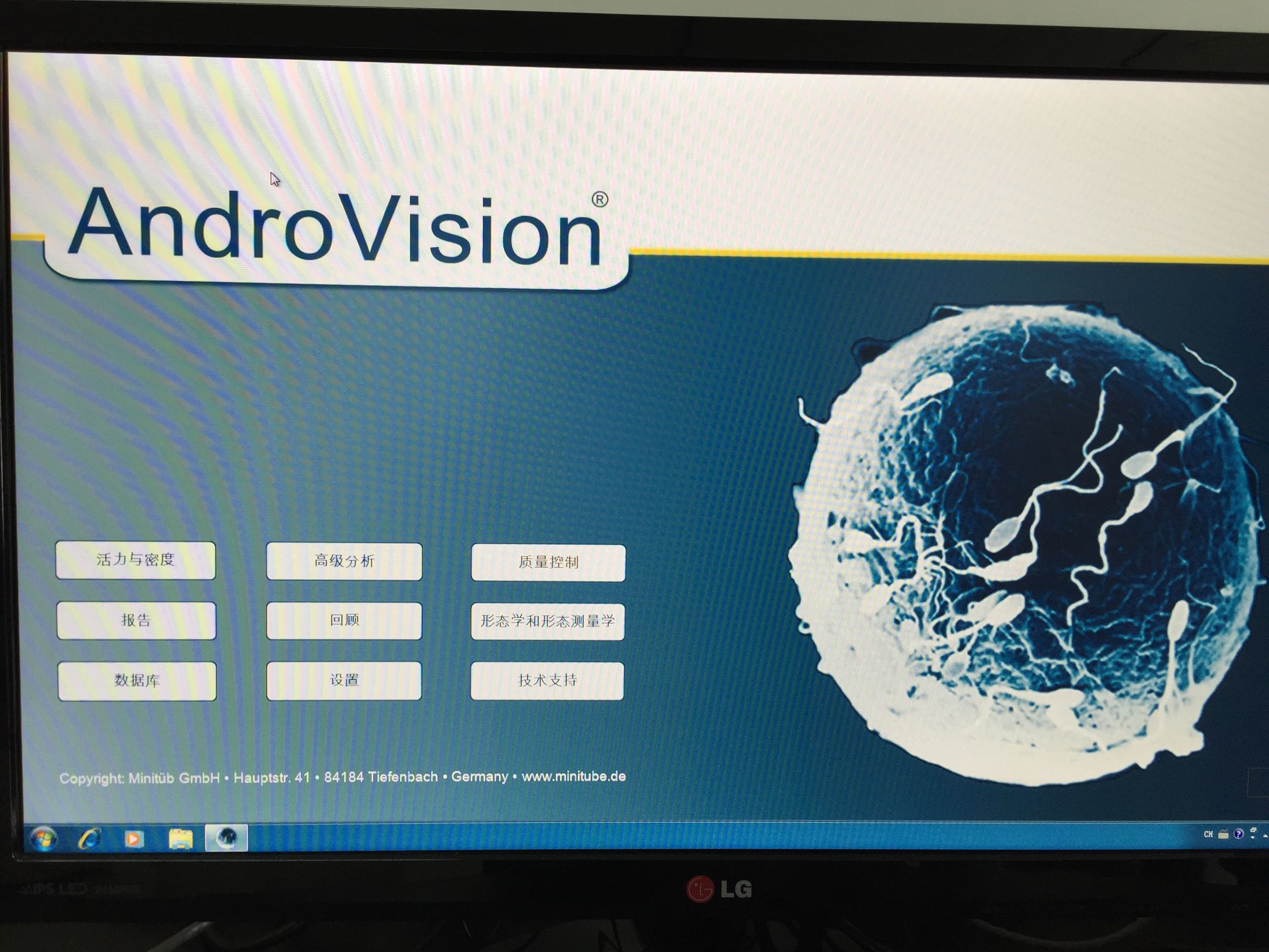 养猪场人工授精关键技术,猪场人工授精操作规范