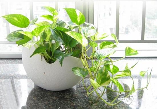 公认绝对有效除甲醛的最好方法,高级环保除甲醛最好的方法