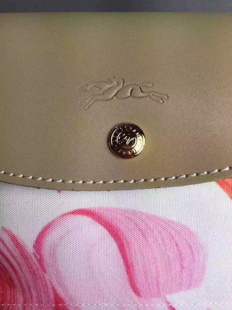 longchamp珑骧饺子包,longchamp饺子包爆款