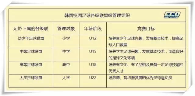 韩国足球历史最好成绩,成绩断崖式下跌是什么原因