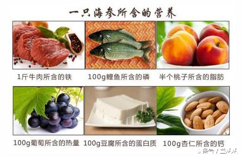 吃海参注意什么事项,癌症晚期吃海参注意什么