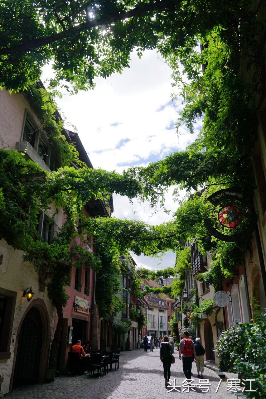 踩到黑森林的泉水，就能娶到弗莱堡的漂亮妞儿！