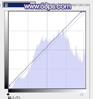 ps写真人像调色高级感黄背景,人像秋天调色ps