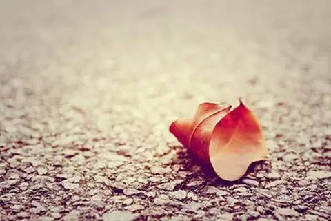 剁手必备化妆品,剁手必入的化妆品牌