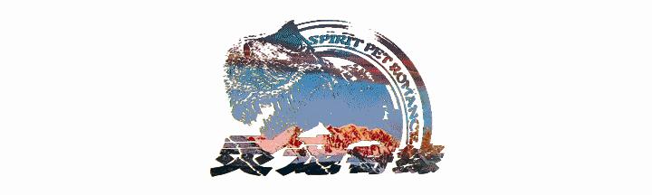 球蟒基因组合大全,球蟒基因品系图鉴下载