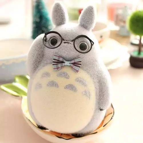 控制不住啦,被这些龙猫礼物萌一脸血~