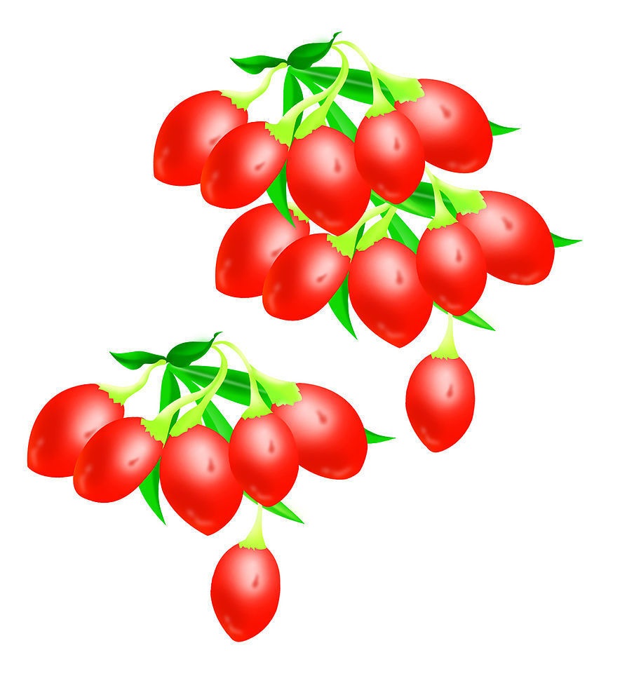 农村叫它狗*子奶**，能补肾，你见过吗？看了你应该认识