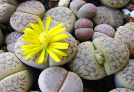 稀奇景色,稀奇风景原创素材