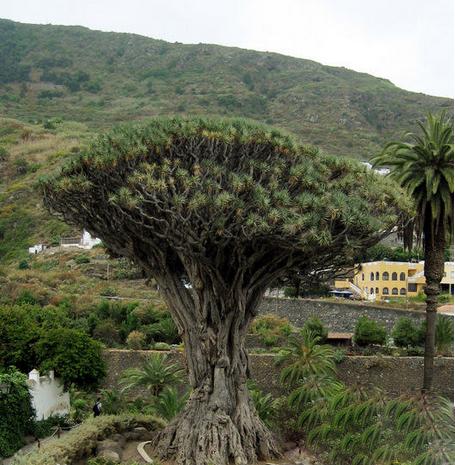 世界上5个诡异的未解之谜,全世界都无法解释的三大未解之谜