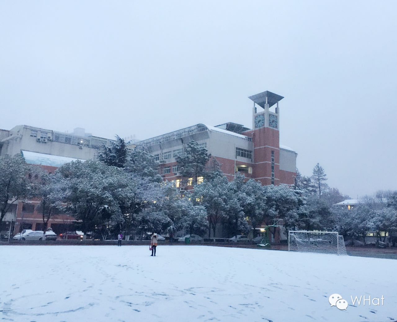 武汉只下一天雪吗,武汉下的是雪吗