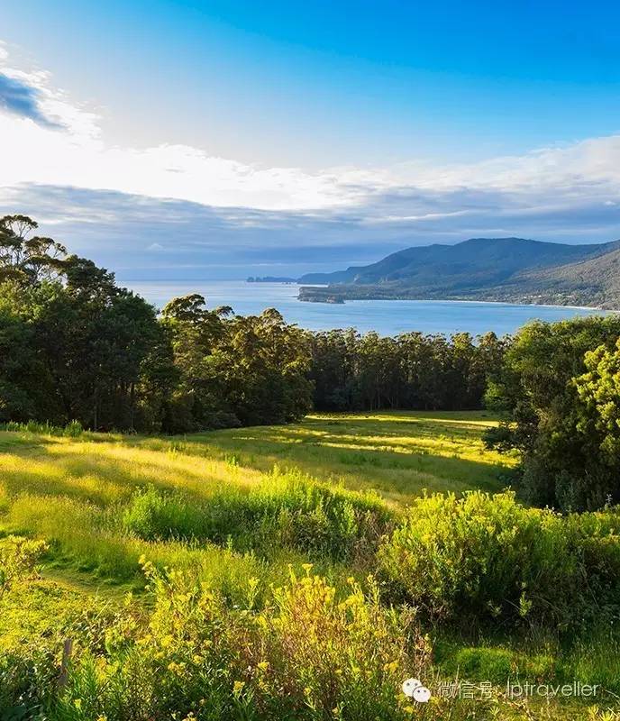 星球坐标|塔斯马尼亚：世界反面的反面，是怎样的狂野景象