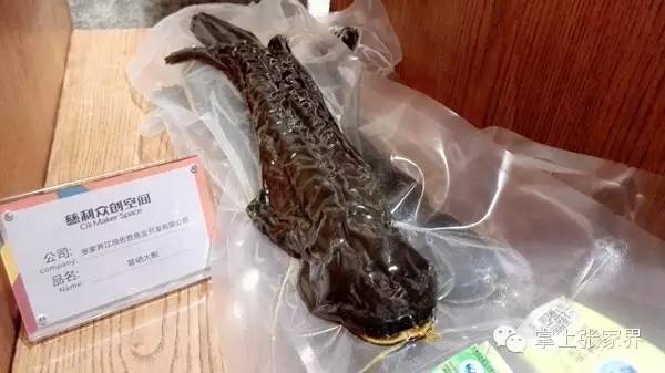 马云去印度投资了吗,张家界旅游投资