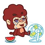 金普新区及周边海岛游史上最全攻略！