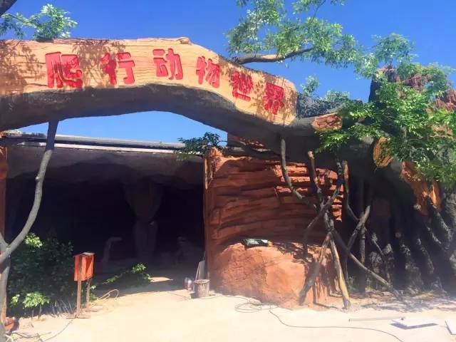 德州动植物园摄影,德州植物园景点