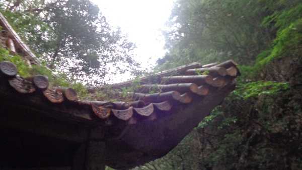 南昆山哪里好玩,惠州龙门南昆山