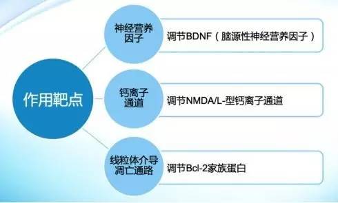 攻无不克艾尔建青光眼论坛暨克法特上市两周年庆报道