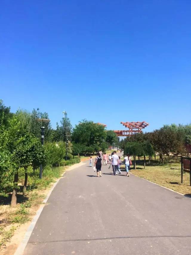 德州动植物园摄影,德州植物园景点