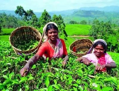 十一小长假旅游攻略,十一最佳旅行地这么玩才最嗨