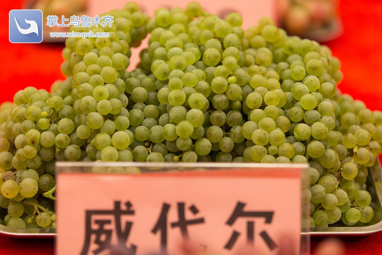 自带花香味的葡萄你吃过吗,吃葡萄不吐葡萄皮的葡萄怎么挑