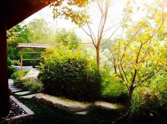 零下80度上海,上海零下9.8度