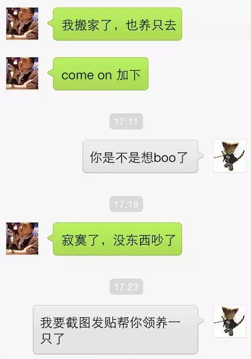 狗狗对着门外大叫是怎么了,狗为什么老是敲自己家的门