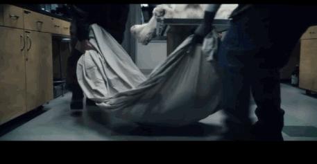 密集恐惧者请绕行,友情提示胆小的朋友请谨慎观看