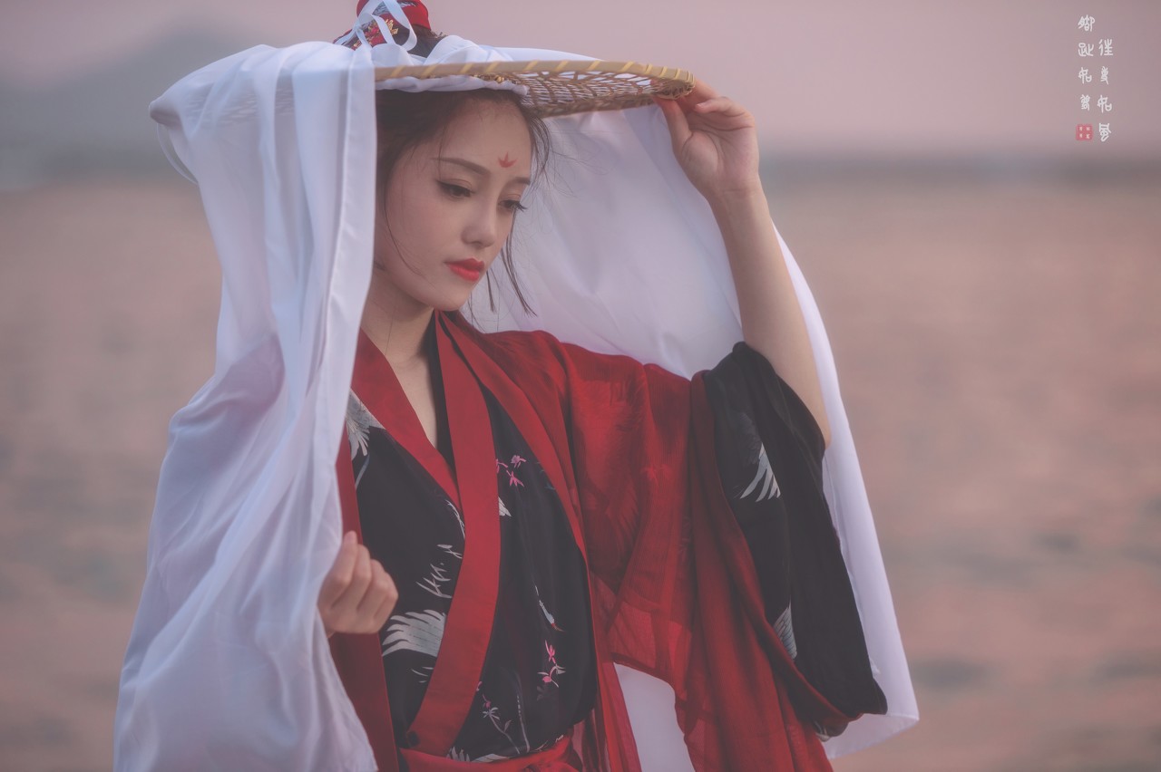 女扮男装摄政王小说古代完结,女扮男装当摄政王辅佐皇帝的小说