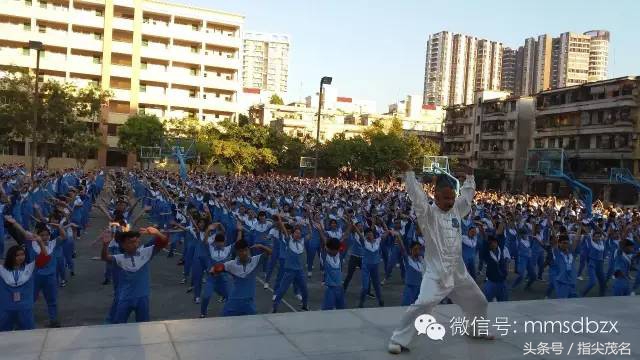 电白中学招生链接,2020年电白中学网上报名