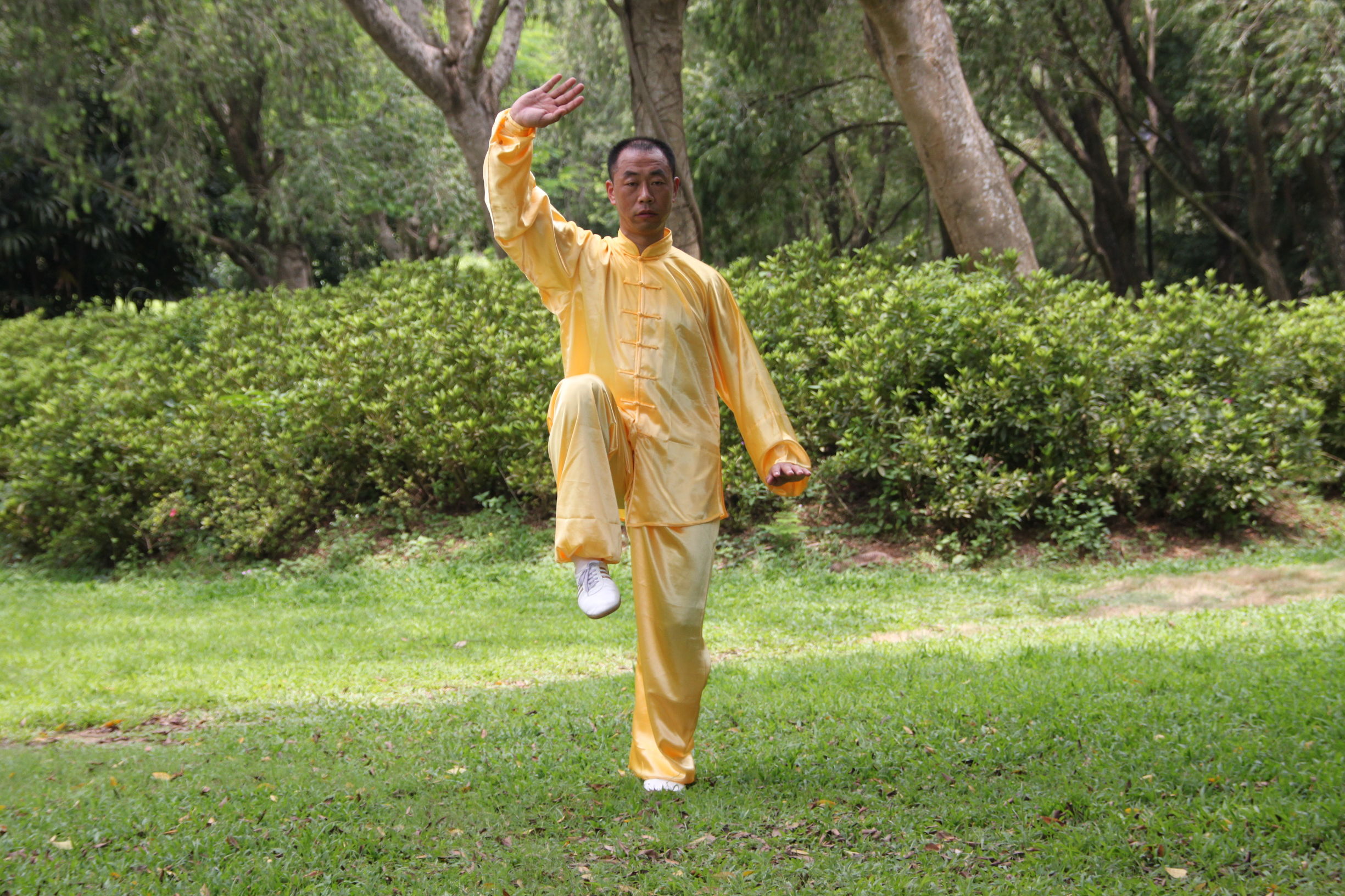 传统太极十三式教学,三丰太极十三式