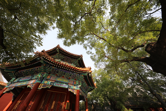 佳能eos5dmarkiv重量,佳能eos5dmarkiii和iv