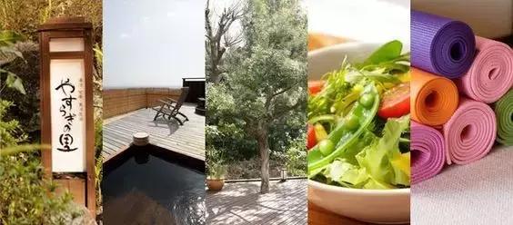 瑜伽28天轻断食,瑜伽断食三天的正确方法