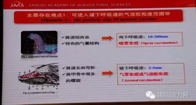 支原体肺炎国家防御方案,支原体肺炎抗病毒