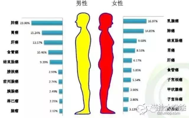 卵巢癌的病因,卵巢癌的病因及预防方法