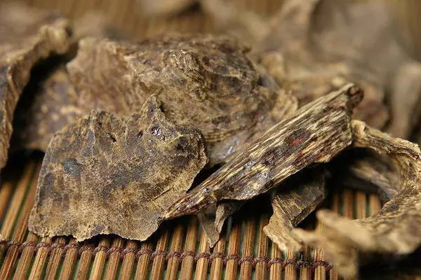 沉香线香术语与品评,关于沉香的100种术语