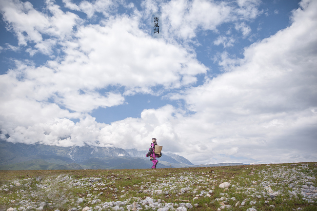 剑网三清风晓月,剑网三秋月清风