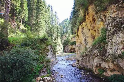 若尔盖美丽的草原风光无限,若尔盖大草原超级漂亮