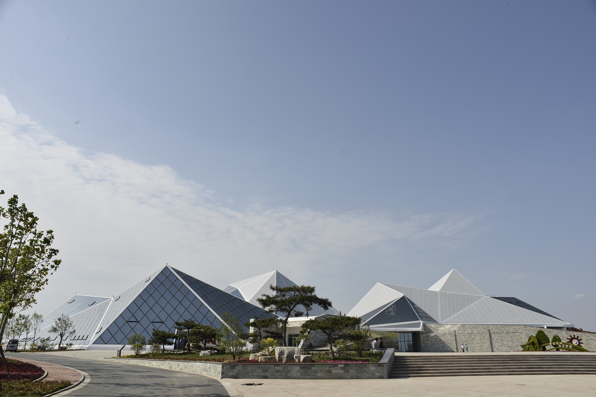 这个秋季，来东营赏红毯，看大黄鸭，品大闸蟹！