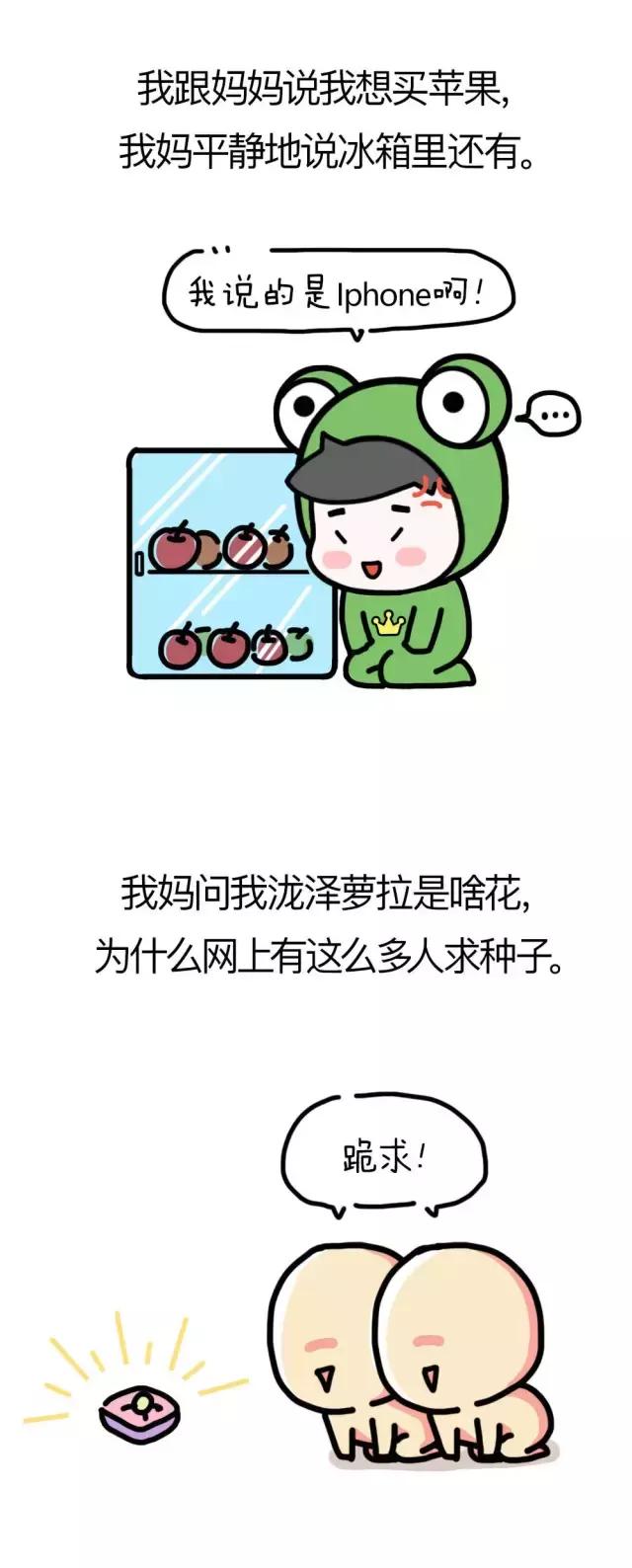 求问大神泷泽萝拉是什么花？