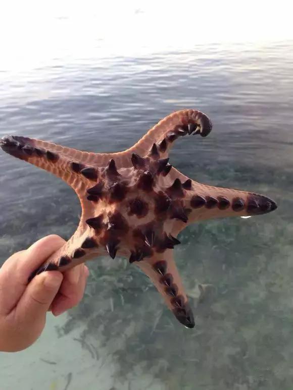 象山石浦渔港古城开渔节,开渔节暨海鲜美食文化旅游节