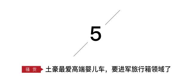 它身材娇小，却是一位很棒的私人助理｜新品抢先看